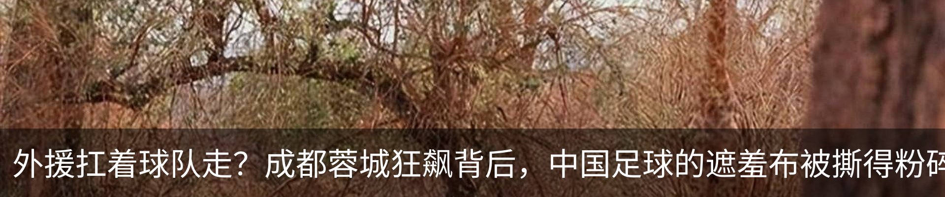 行业资讯