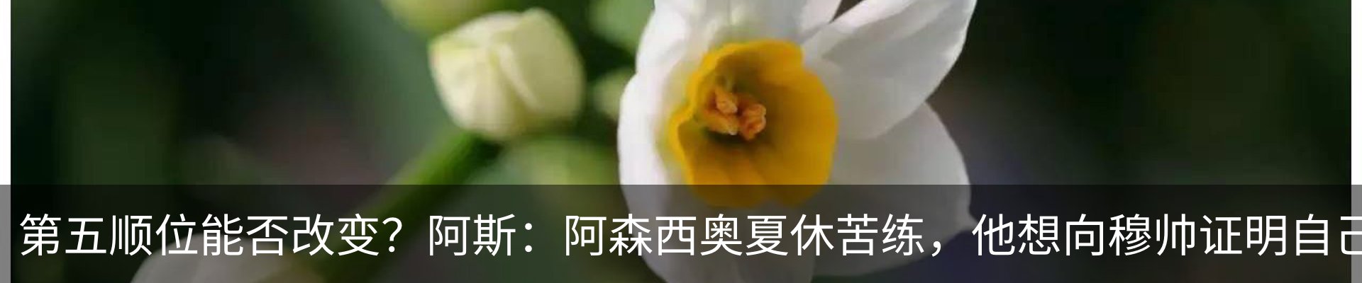 行业资讯